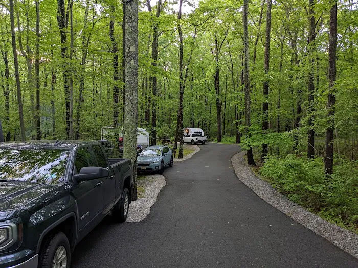 Mahlon Dickerson Campgrounds Picture 7