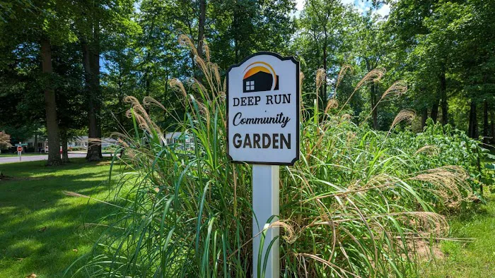 Deep Run Picture 4