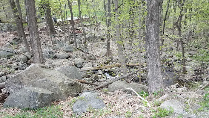 Tall Timbers Property Owners Association Picture 9