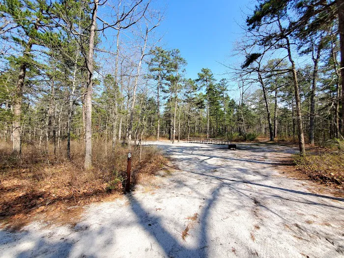 Brendan T Byrne State Forest Campground Picture 2