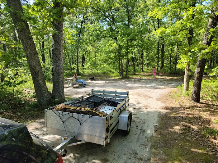 Brendan T Byrne State Forest Campground Picture 3