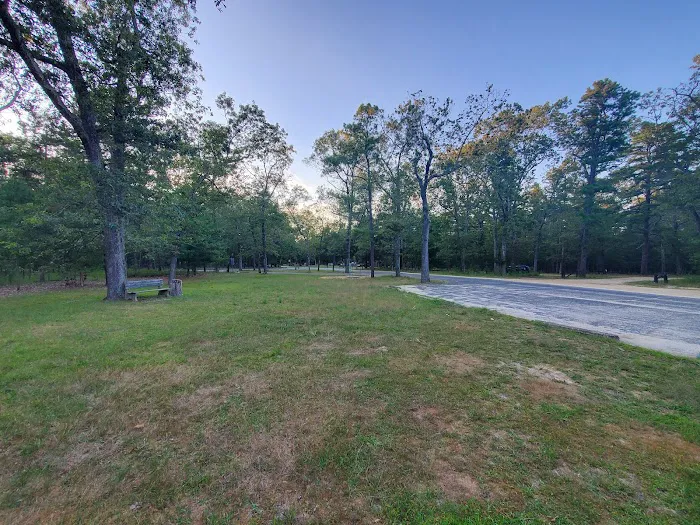 Brendan T Byrne State Forest Campground Picture 5
