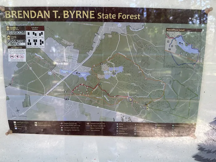 Campsite Picture 7