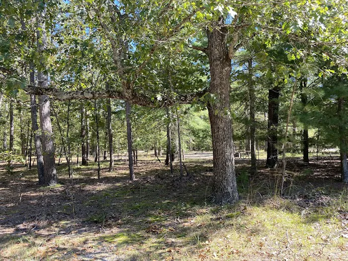 Campsite Picture 6
