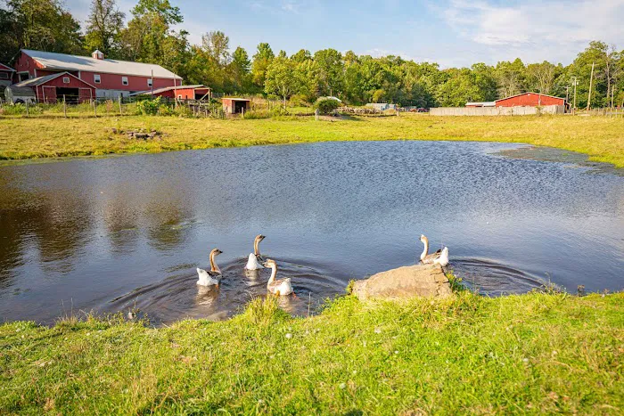 Sun Retreats Pleasant Acres Farm Picture 4