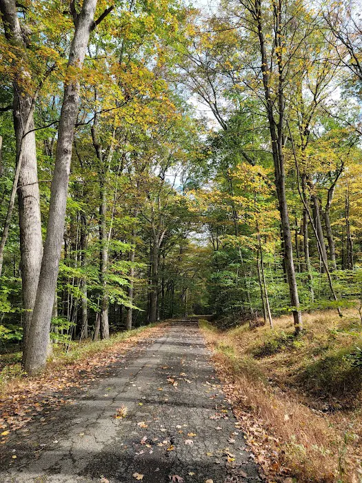 Voorhees State Park Picture 2