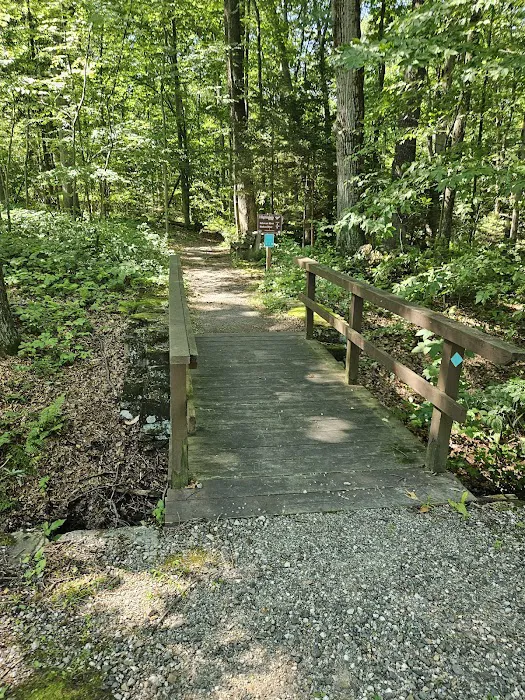 Voorhees State Park Campground Picture 3