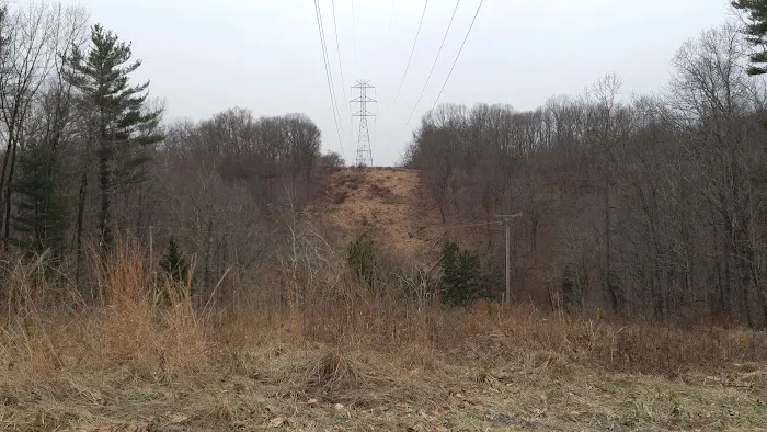 Voorhees State Park Campground Picture 10