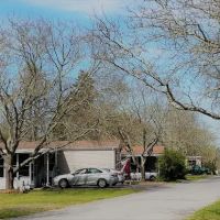 Pocono Estates ico