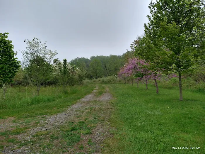 Kittatinny Valley Campsite Picture 6
