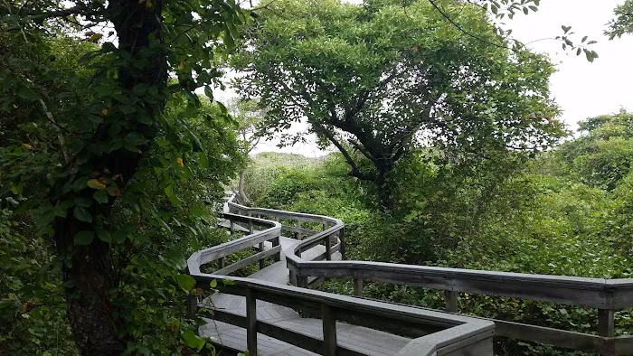 Watch Hill Fire Island Campground & Safari Tent Glamping Picture 6