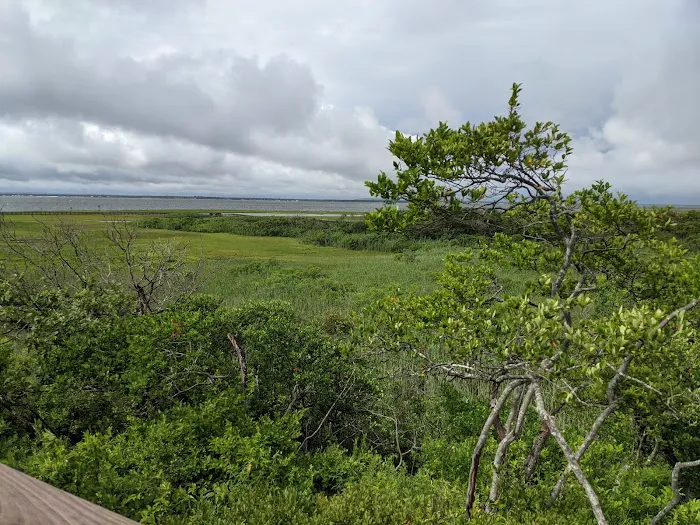 Watch Hill Fire Island Campground & Safari Tent Glamping Picture 9