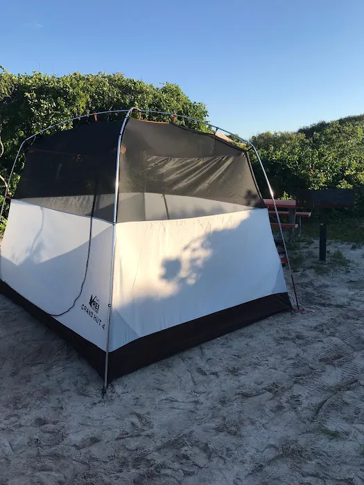 Fire Island Picture 3