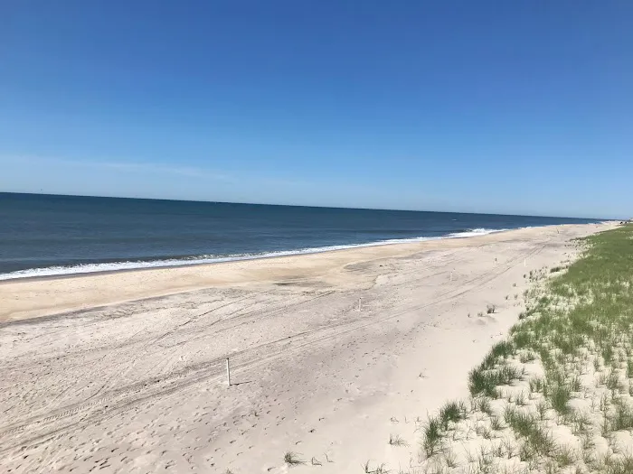 Fire Island Picture 1