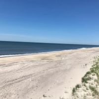 Fire Island ico