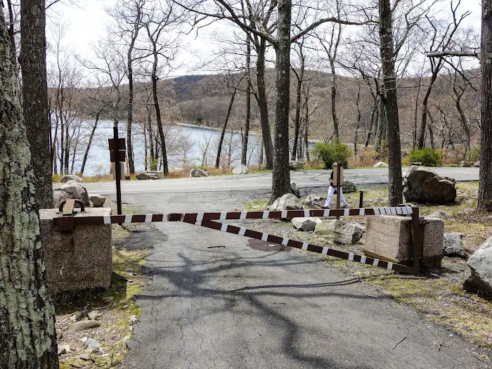Tiorati Plateau Campground (Reservation Required) Picture 5