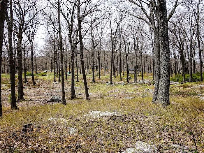 Tiorati Plateau Campground (Reservation Required) Picture 1