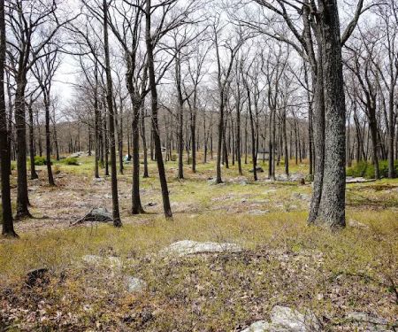 Tiorati Plateau Campground (Reservation Required)