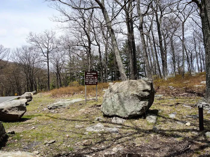 Tiorati Plateau Campground (Reservation Required) Picture 2
