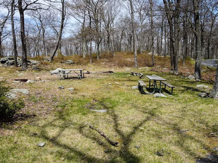 Tiorati Plateau Campground (Reservation Required) Picture 6