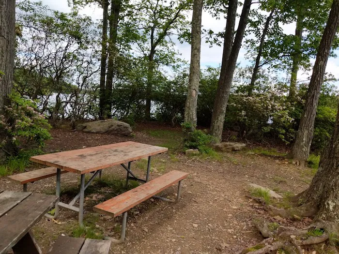 Cedar Pond Campground Picture 5