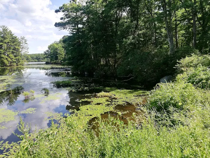Cedar Pond Campground Picture 9