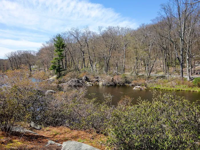 Cedar Pond Campground Picture 7