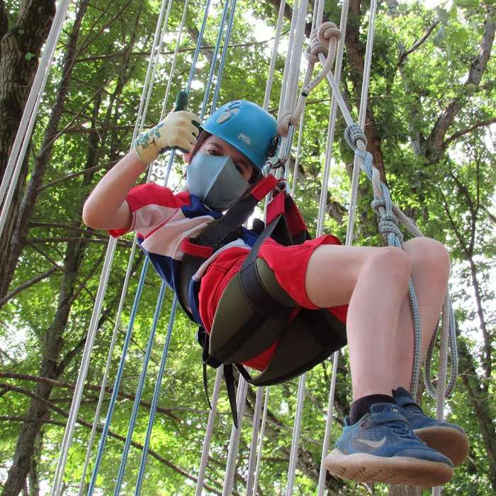 Mosholu Day Camp Picture 9