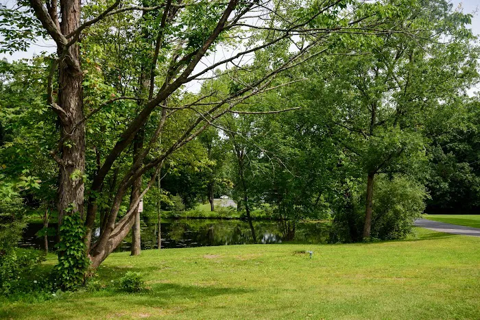 Catskill Pond Picture 6