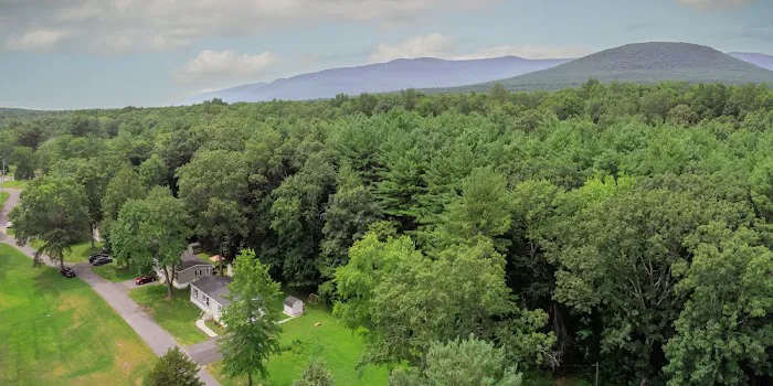 Catskill Pond Picture 7