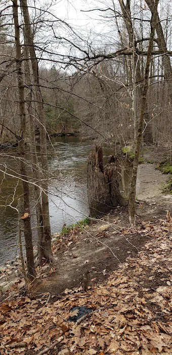 Whispering Pines Community Picture 3