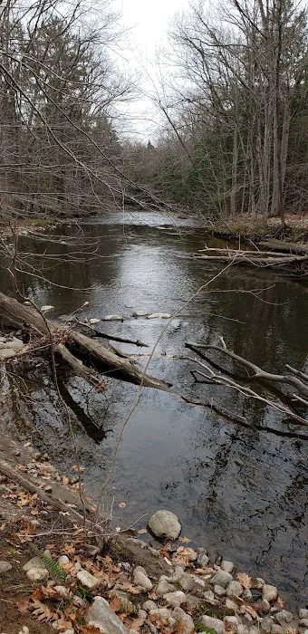 Whispering Pines Community Picture 5