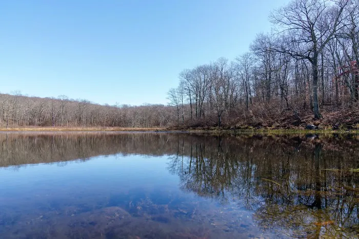 Sawmill Lake Campground Picture 3