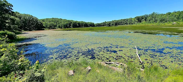 Sawmill Lake Campground Picture 5
