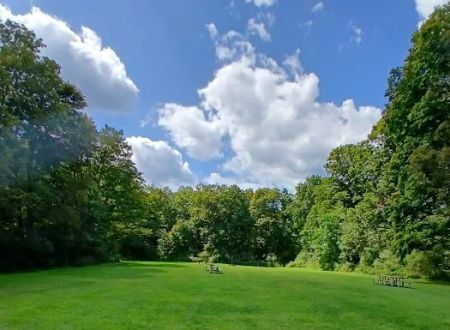 Haskin's Group Campsites