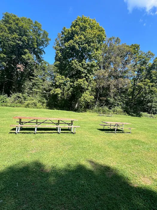Haskin's Group Campsites Picture 5
