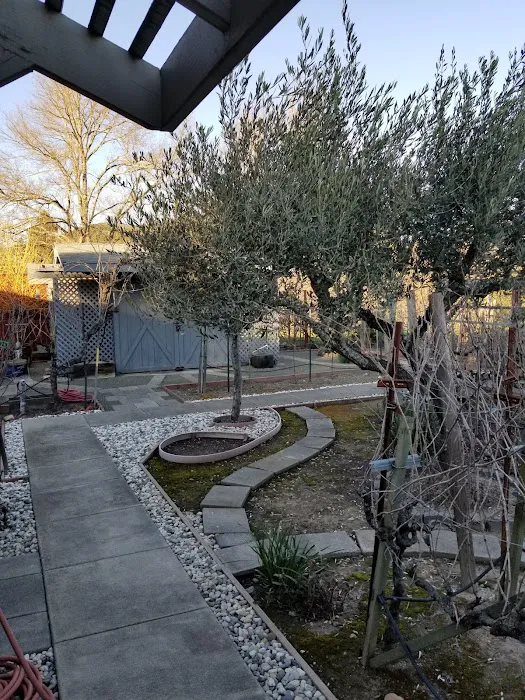Andrea's Hidden Cottage Picture 6