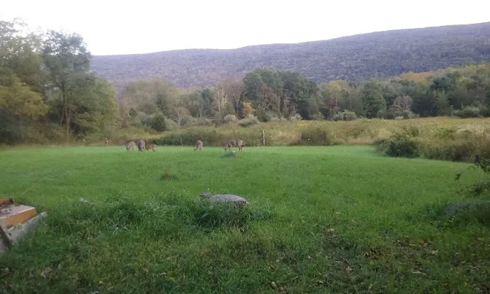 Bear Creek Campgrounds Picture 1