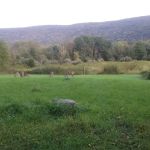 Bear Creek Campgrounds