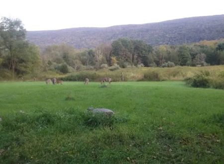 Bear Creek Campgrounds