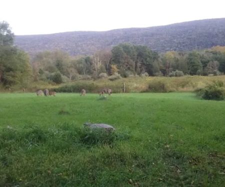 Bear Creek Campgrounds