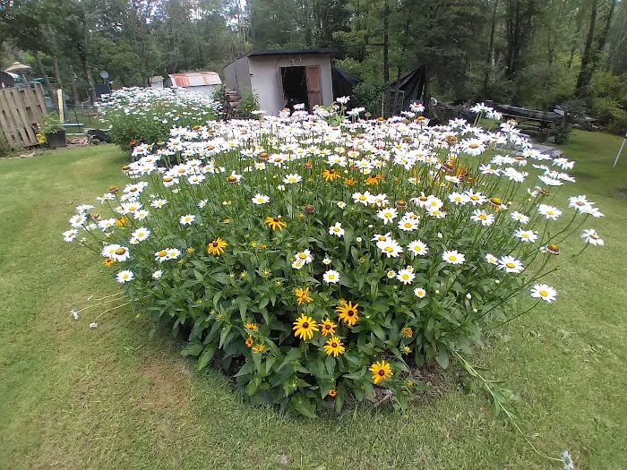 Bear Creek Campgrounds Picture 9