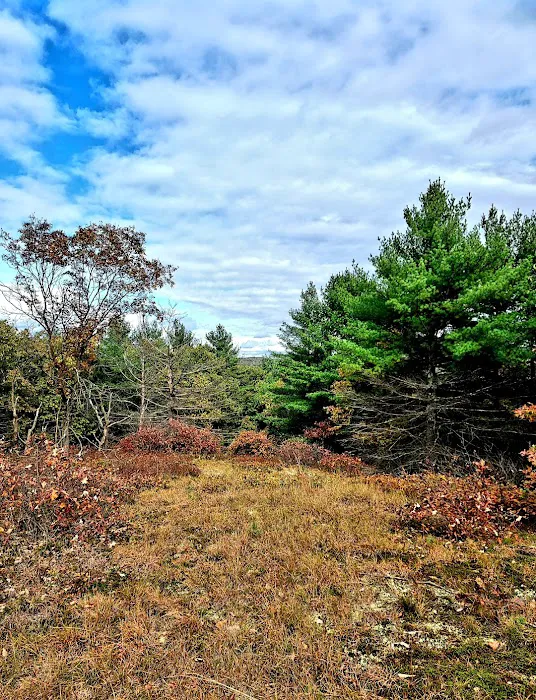 Port Jervis Elks Brox Campground Picture 3
