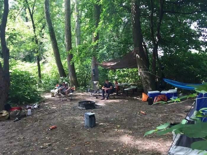 National Park Service - Mashipacong Island - Campsite # 1 Picture 5