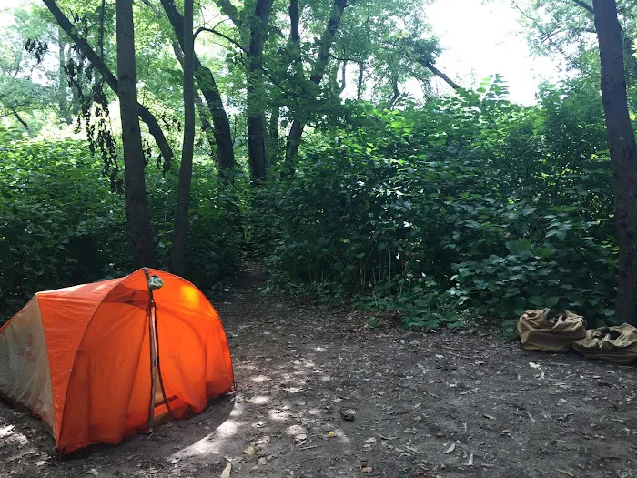 National Park Service - Mashipacong Island - Campsite # 1 Picture 8