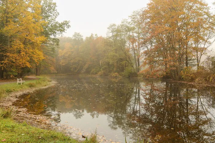 Neversink River Resort Picture 6