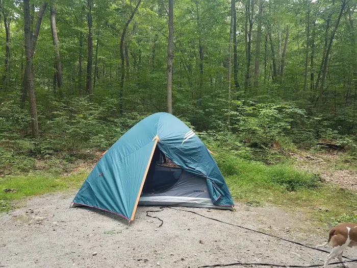 Jenny Jump State Park Camping Picture 1