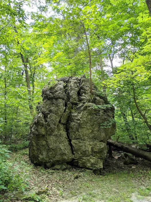 Jenny Jump State Park Camping Picture 6