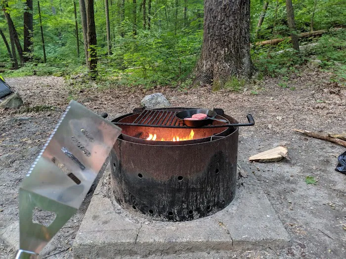 Jenny Jump State Park Camping Picture 8