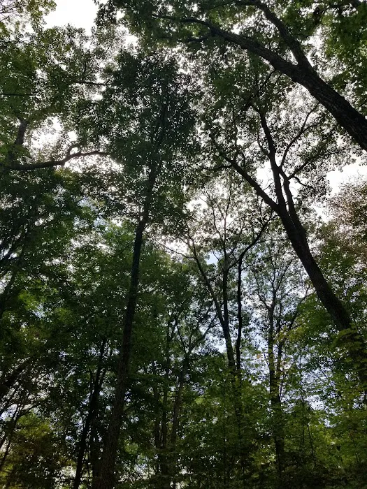 Jenny Jump State Park Camping Picture 7